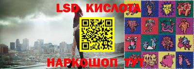 стаф Новокубанск