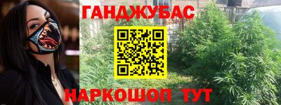 стаф Новокубанск