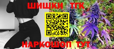 стаф Новокубанск