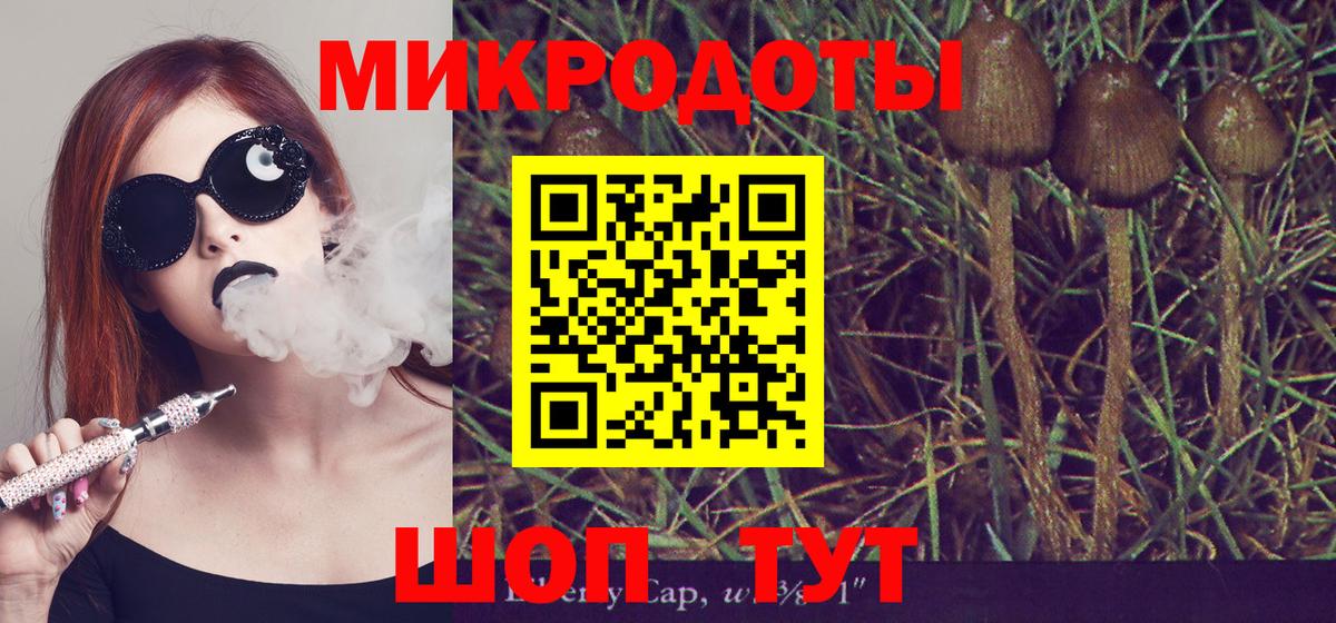 Псилоцибиновые грибы Magic Shrooms Новороссийск